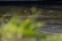 Ultimate Predator Float Inline