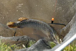 Ultimate Predator Float Inline