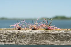 Ultimate Tungsten Micro Skirted Jig 3.5g