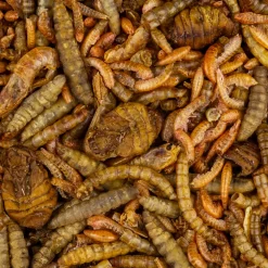 Vivani Fishfood Insect & Shrimp mix 500g