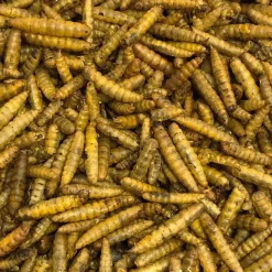 Vivani Gedroogde BSF larven - 400 gram