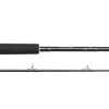 Westin W2 Predator Trolling Hengel 2.55m (60-180g)