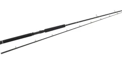 Westin W2 Predator Trolling Hengel 2.55m (60-180g)