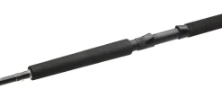Westin W2 Predator Trolling Hengel 2.55m (60-180g)