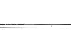 Westin W2 Z-Hunter Snoekbaars Spinhengel